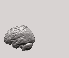 This is my one big speciel effect sequence. Enjoy transform!
